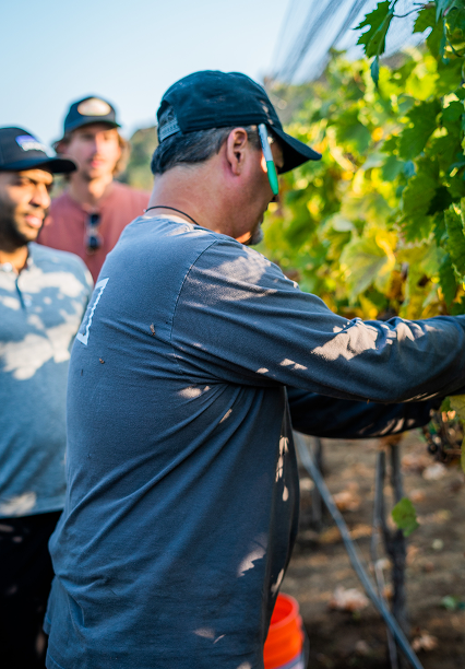 Trevi, Wine Club, DSCcover, Wedding Venue, Wine