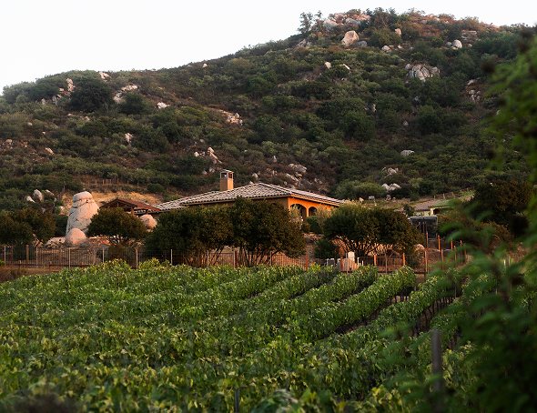 Wine Club, Wedding Venue, DSC, Wine, Events, Venue