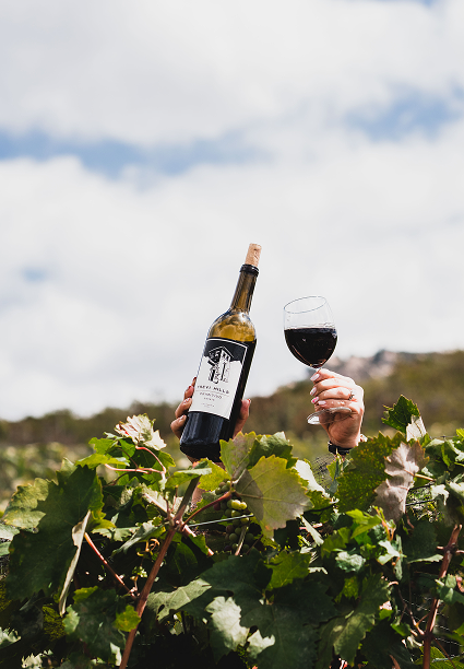 Wine Club, Hills, Rectangle, Events, Wedding, Wine Tasting