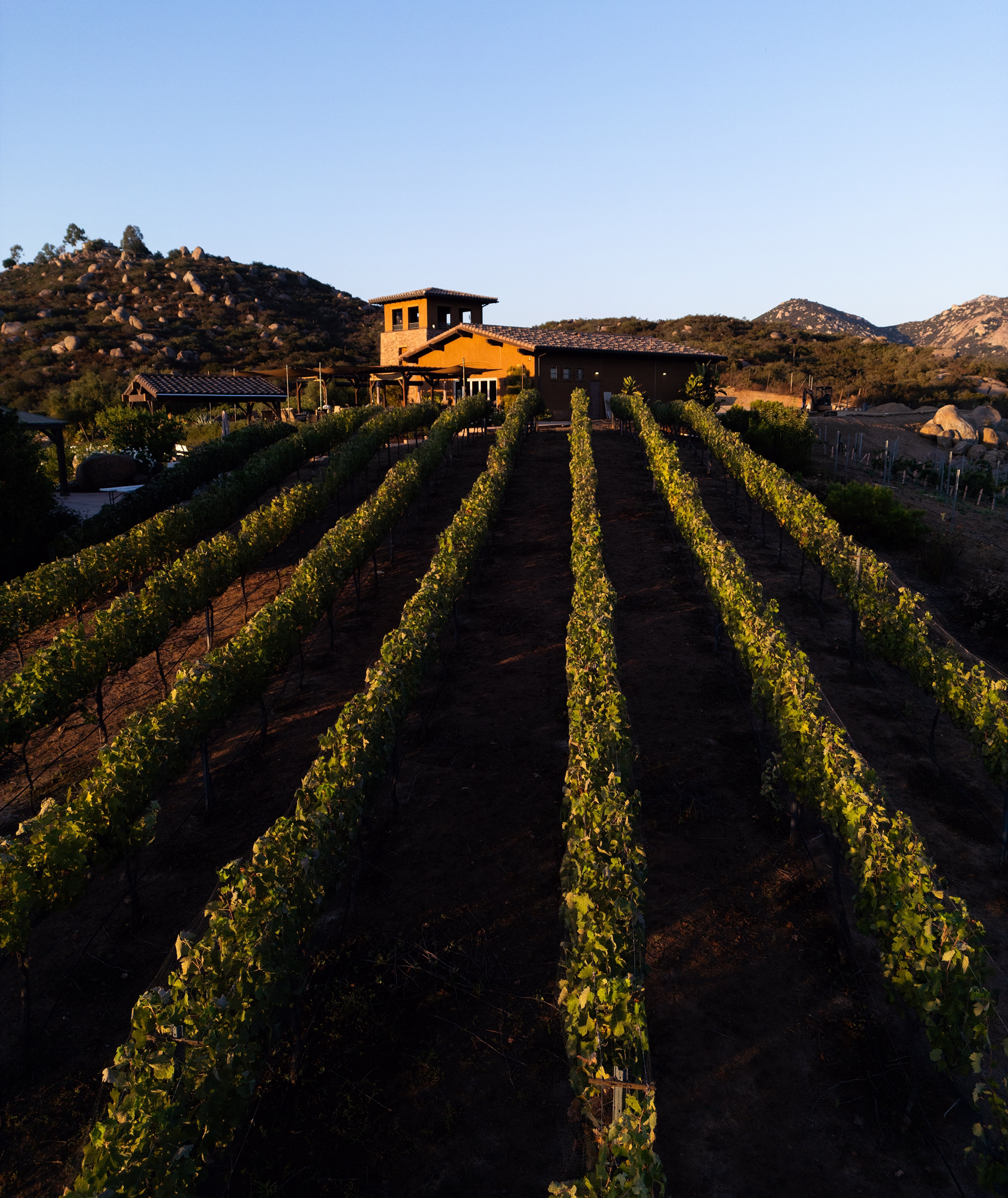 Trevi, Wine Tasting, Wine, DJI, Hills, Wedding Venue