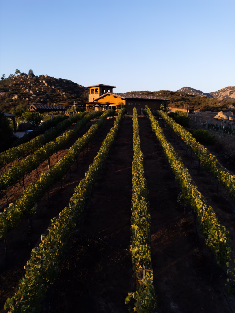 Trevi, Hills, Wine Tasting, Wine Club, DJI, Wedding