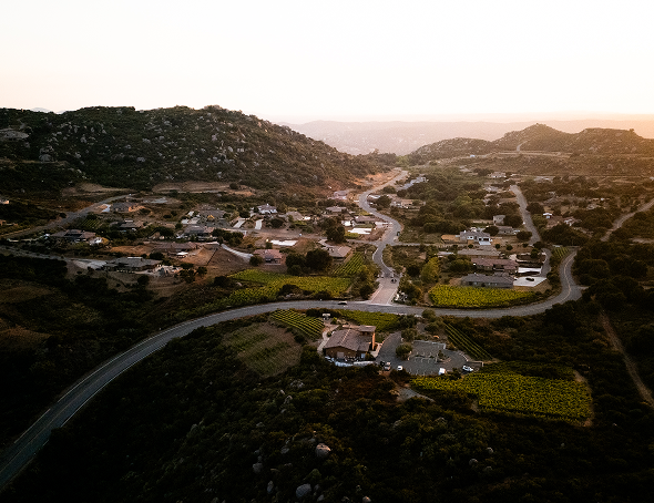 Wine, Wine Tasting, Event Venue, Tasting, Events, DJI