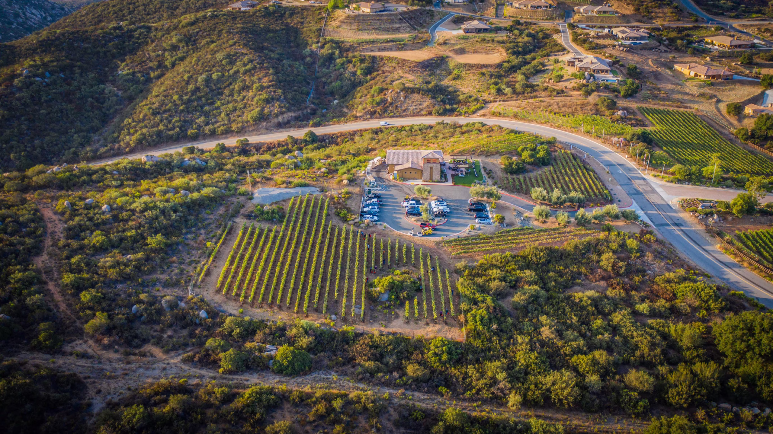 Wine, Event Venue, Wedding Venue, Tasting, Events, Hills